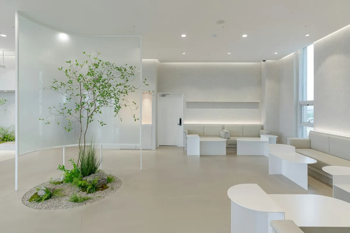 Recepción luminosa con una planta